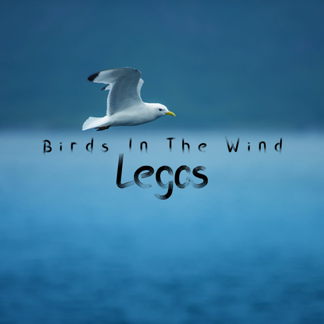 Birds In The Wind