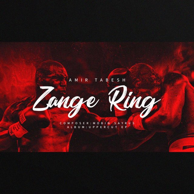 Zange Ring