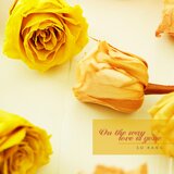 Your Scent Is Still