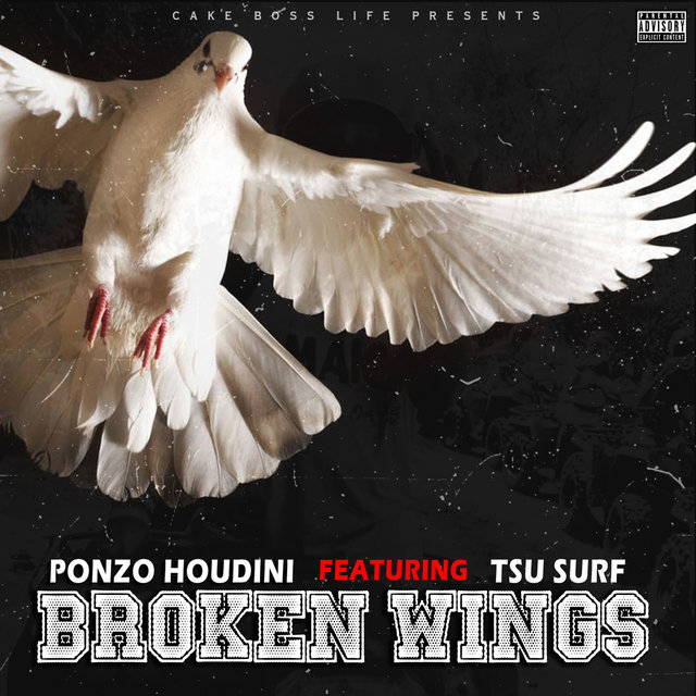 Broken Wings