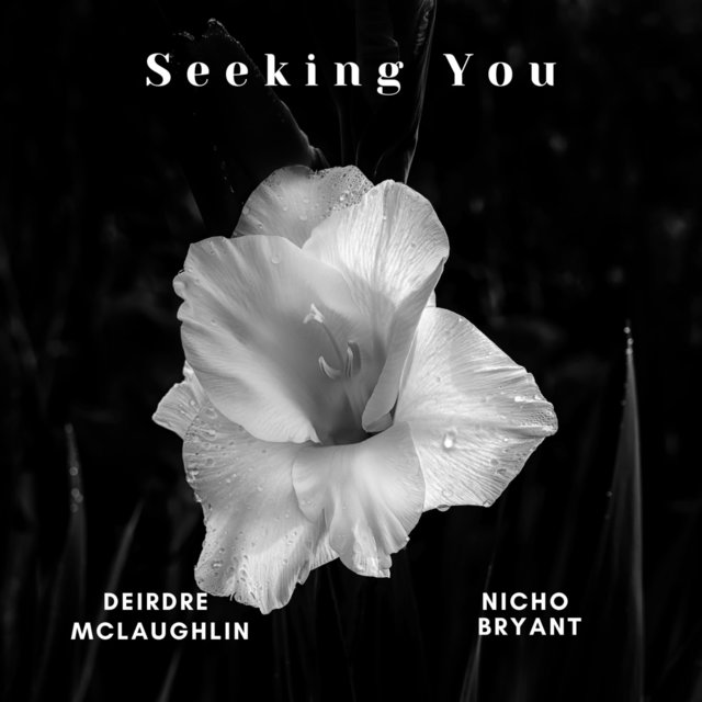 Seeking You