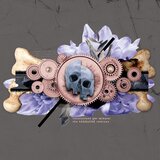 Schedule IV - Prisoner of the mind