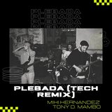 Plebada