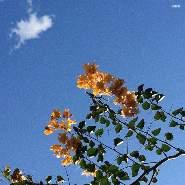 Daydreams