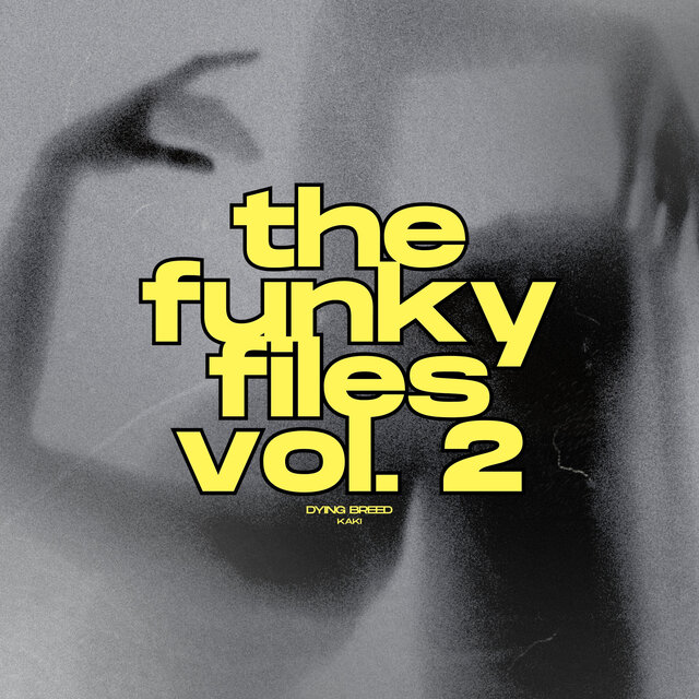 The Funky Files Vol. 2