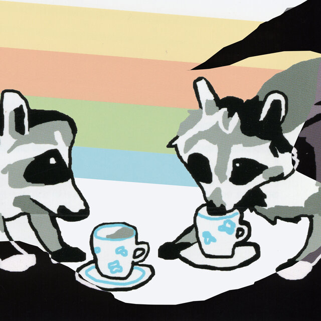 Raccoon