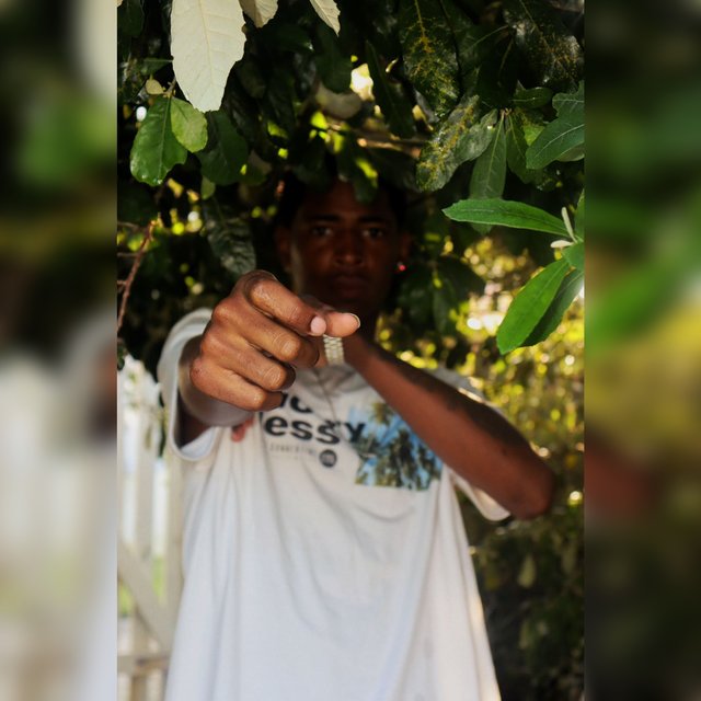Segue o Baile