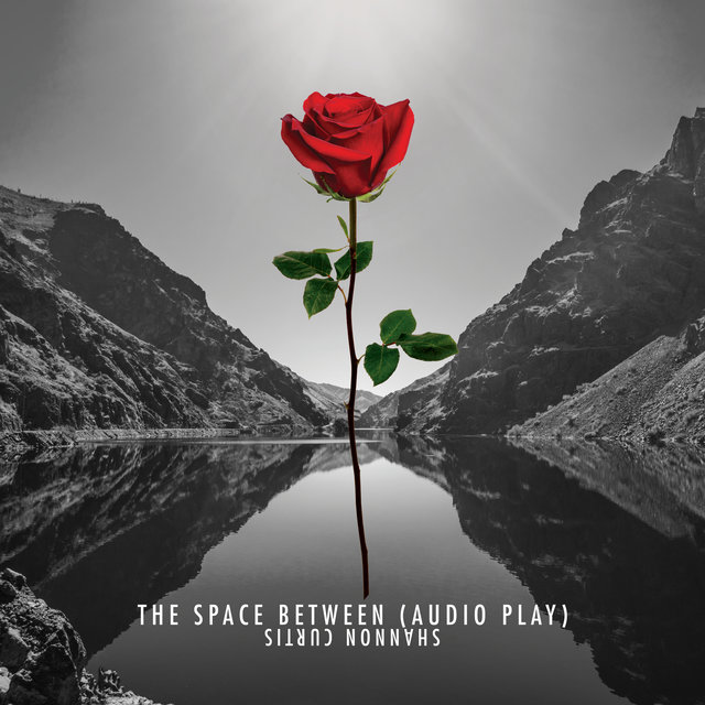 The Space Between (Audio Play)