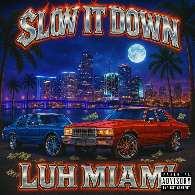 SLOW IT DOWN