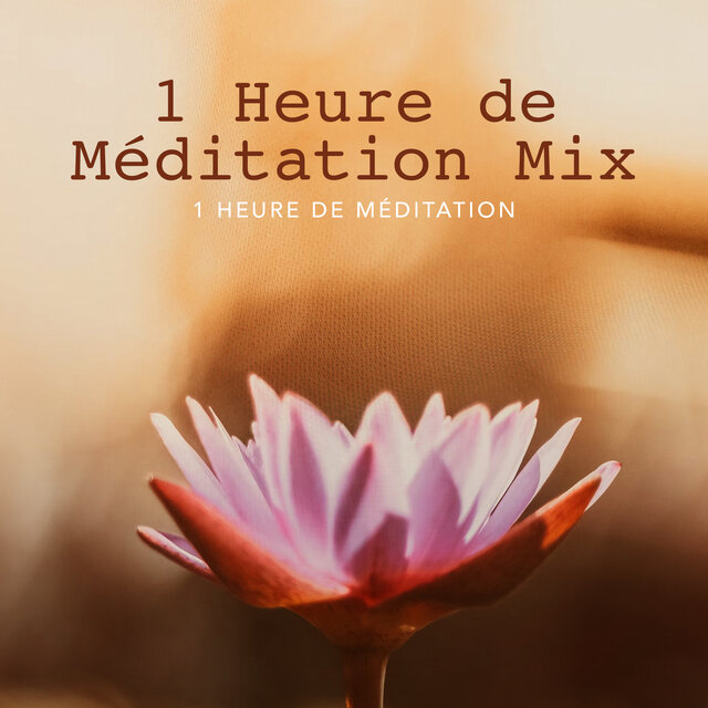 1 Heure de Méditation Mix