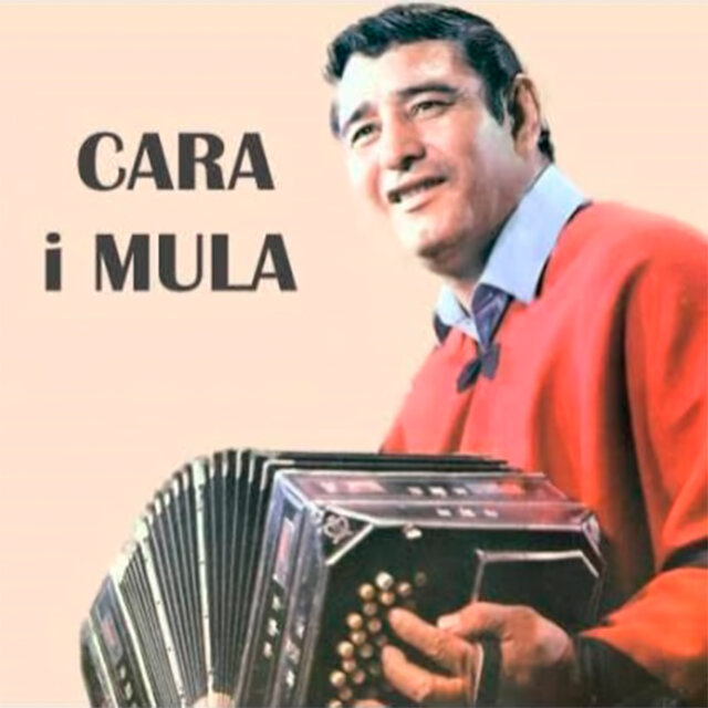 Lo Mejor de Cara i Mula