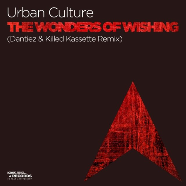 The Wonders of Wishing (Dantiez & Killed Kassette Remix)