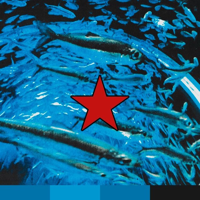 The Star