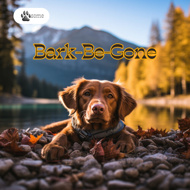 Bark-Be-Gone: Less Noise, More Peace