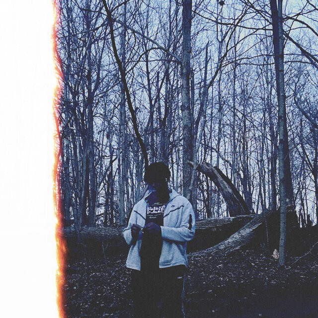Lucid