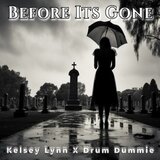 Before It's Gone