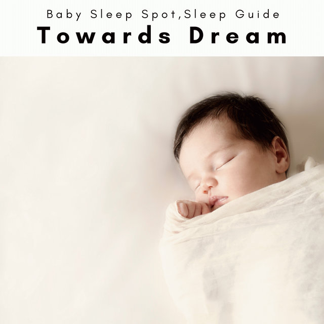 1 Towards Dream