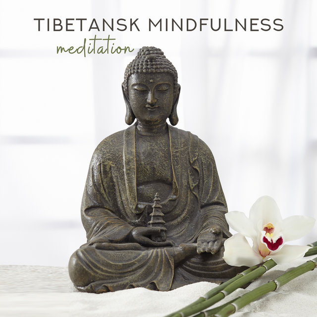 Tibetansk mindfulness meditation (Koppla av med tibetanska sjungande skålar, Hypnotisk musik)
