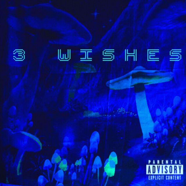3 WISHES!