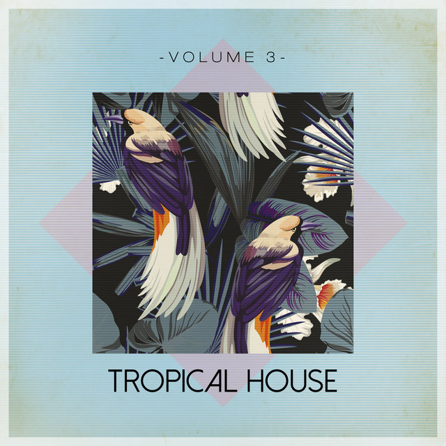 Tropical House, Vol. 3