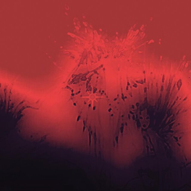 forest watchers
