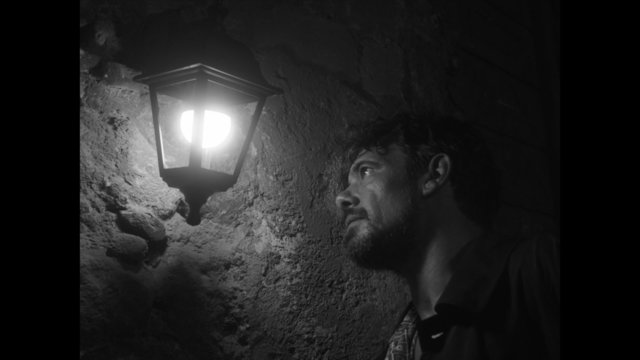 La violenza della luce (feat. Brunori Sas) (Official Video)