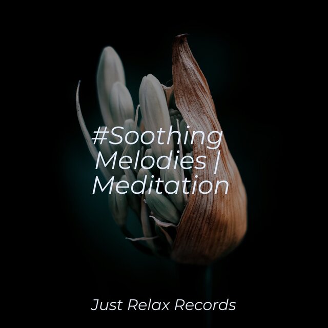 #Soothing Melodies | Meditation