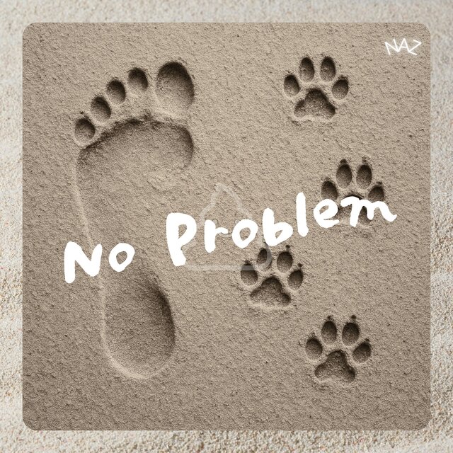 No Problem