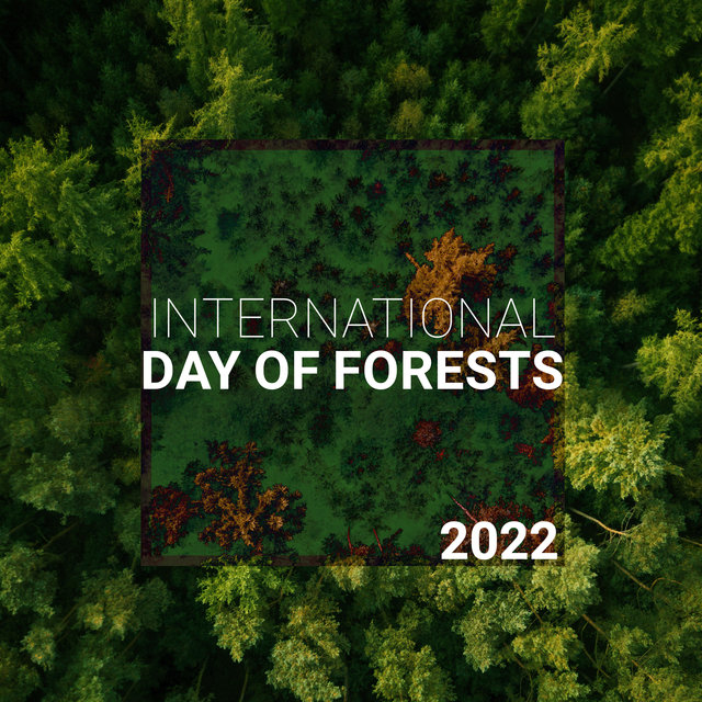 International Day of Forests 2022 (with Relaxing Sounds from the Woods)