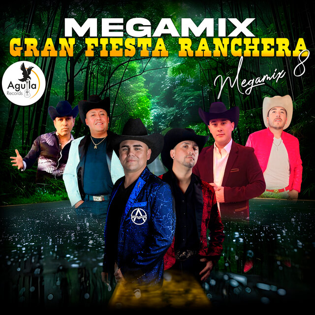 MEGAMIX GRAN FIESTA RANCHERA VOL 8