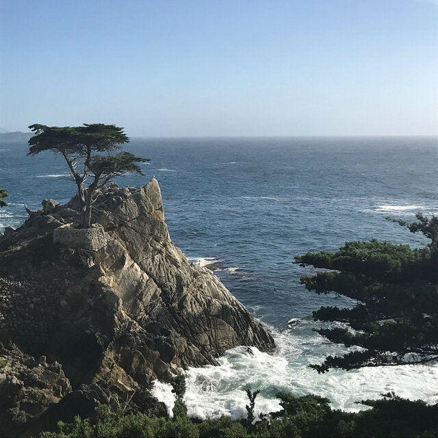 Coastal Relaxation