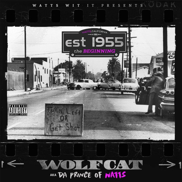 1955 the Beginning