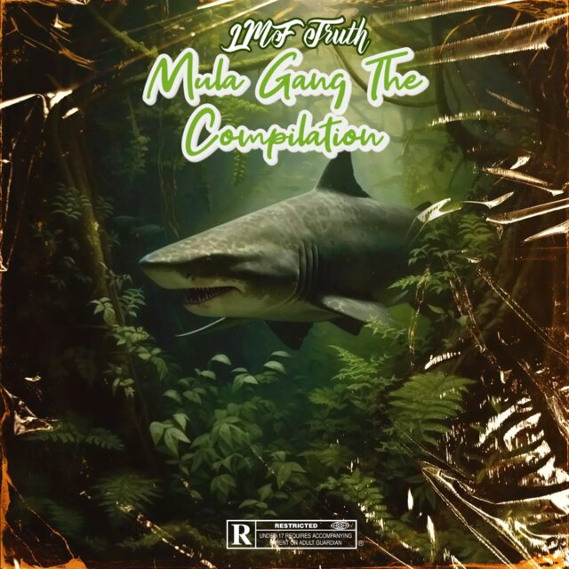 Mula Gang The Compilation