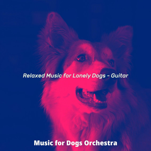 Relaxed Music for Lonely Dogs - Guitar