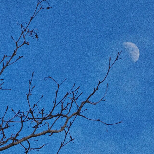 To See U