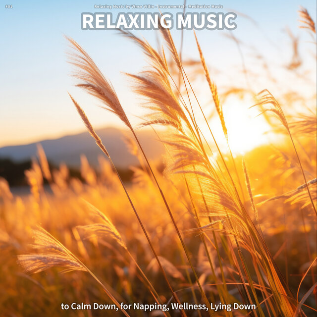#01 Relaxing Music to Calm Down, for Napping, Wellness, Lying Down