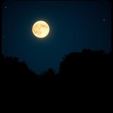 Underneath the Moonlight
