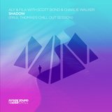 Shadow (Paul Thomas Chill Out Session)