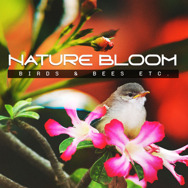 Nature Bloom
