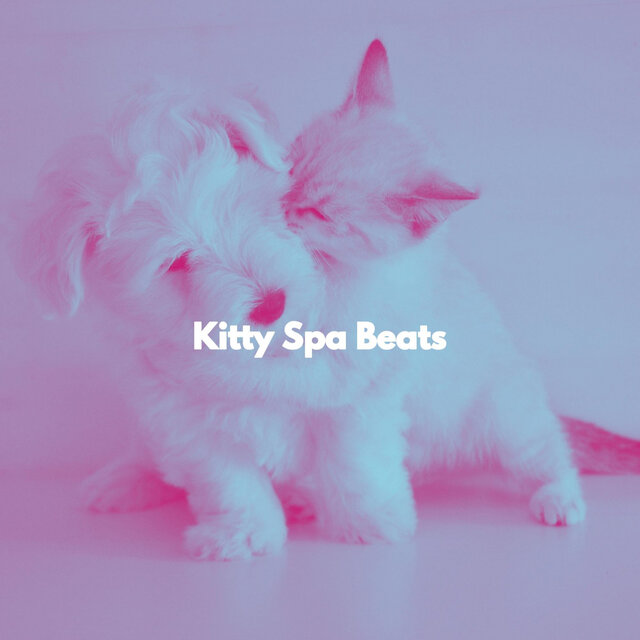Kitty Spa Beats