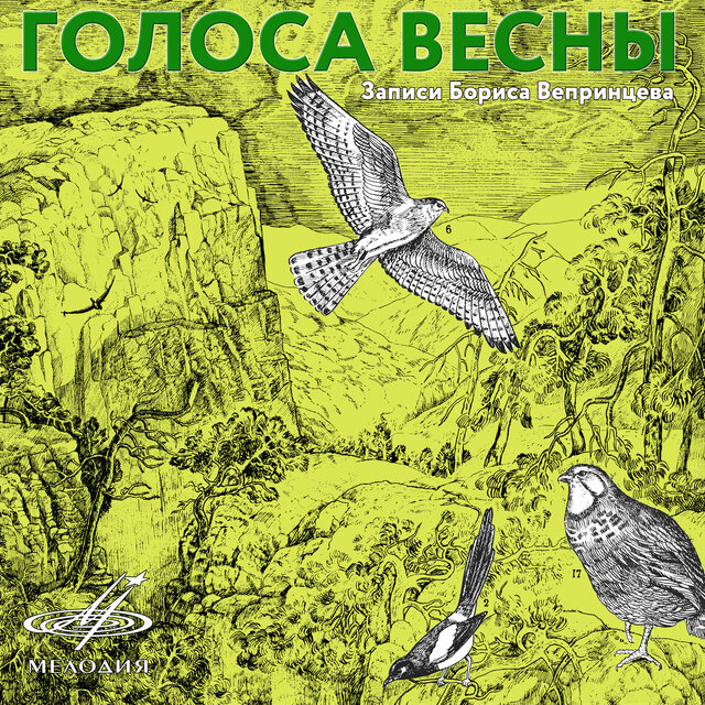 Голоса весны