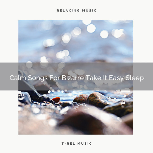 Calm Songs For Bizarre Take It Easy Sleep