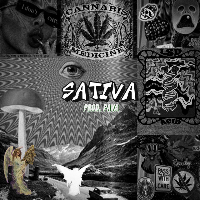 Sativa