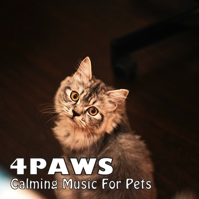 4PAWS: Calming Music For Pets