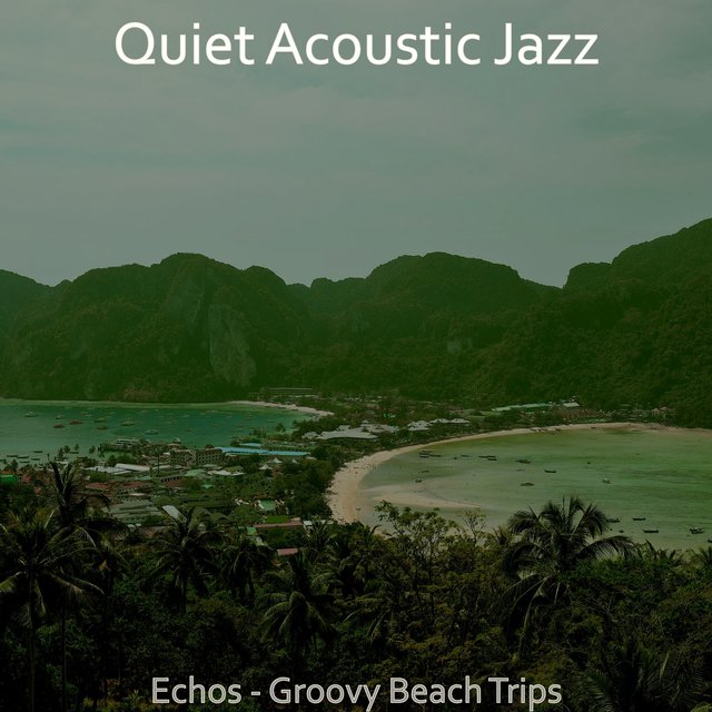 Echos - Groovy Beach Trips