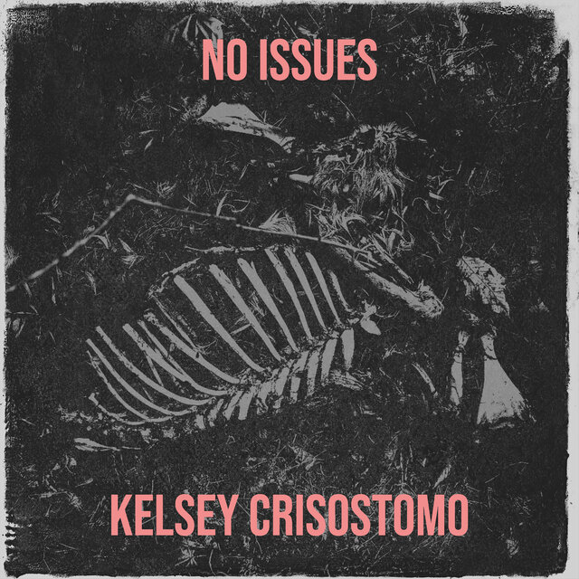 No Issues