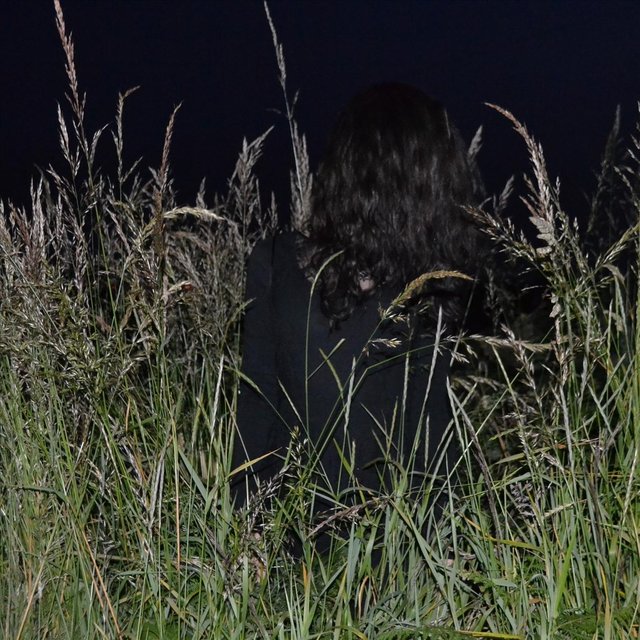Night