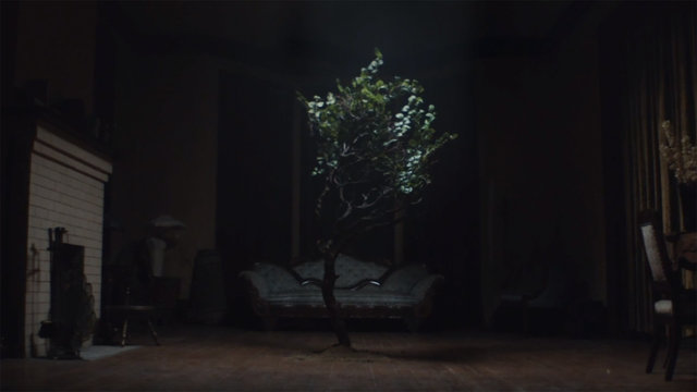 The Tree