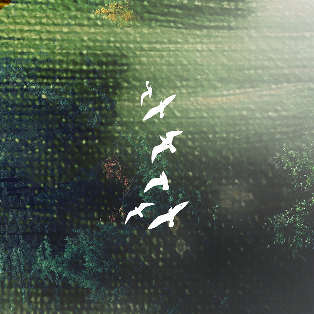Fireflies / Cloud of Starlings