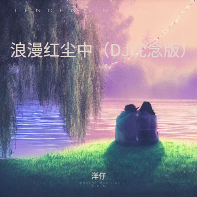 浪漫红尘中 (DJ沈念版)